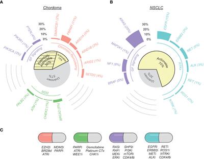 Emerging target discovery and drug repurposing opportunities in chordoma